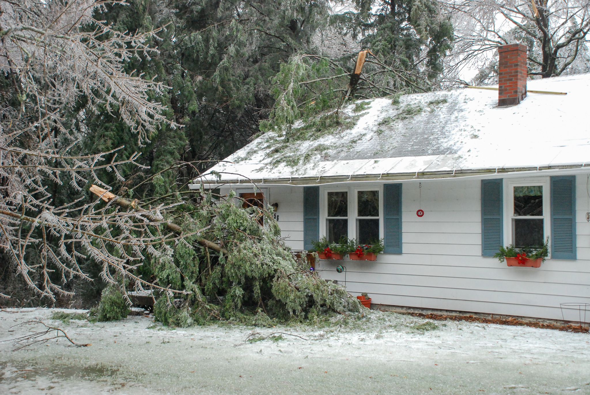 Ice storm damage (Dec. 13, 2008), Weather